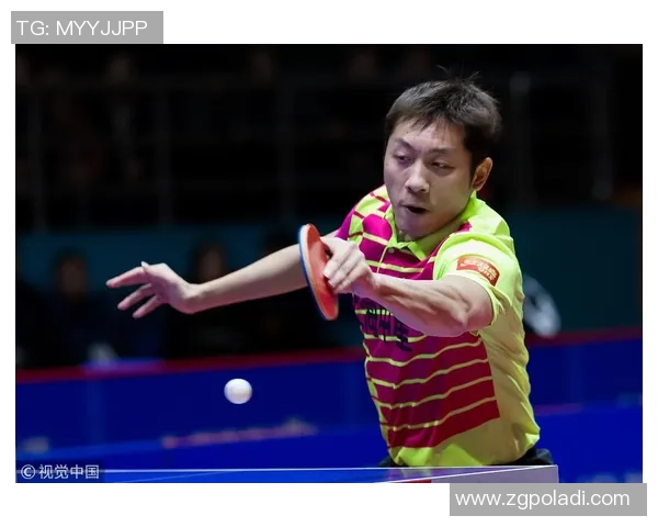 杭州网球队以73分领跑奥运会积分榜展现强劲实力